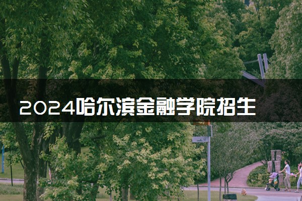 2024哈尔滨金融学院招生章程 录取规则是什么