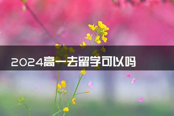 2024高一去留学可以吗 去哪个国家最好