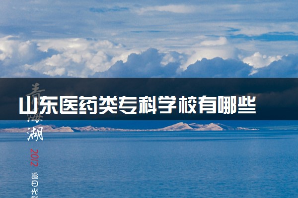 山东医药类专科学校有哪些