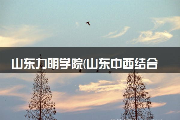 山东力明学院(山东中西结合大学)2024火热招生中