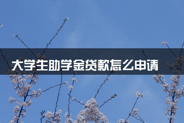 大学生助学金贷款怎么申请 有什么流程
