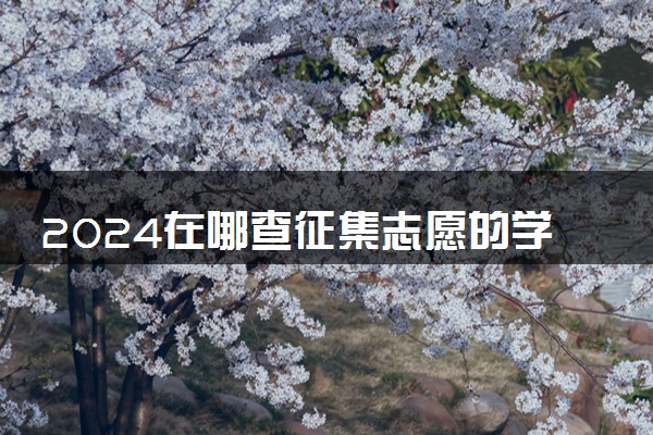 2024在哪查征集志愿的学校 有哪些途径