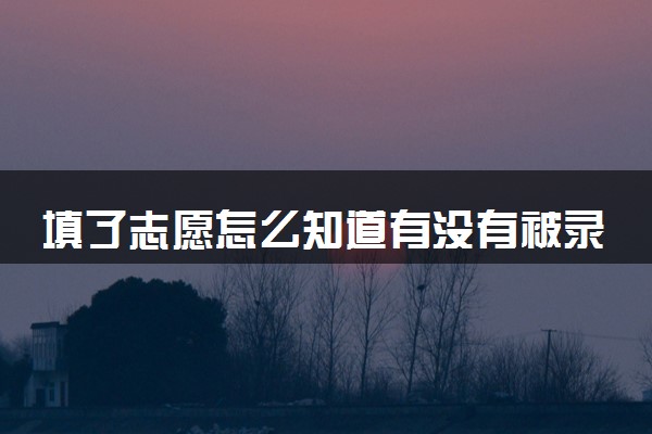 填了志愿怎么知道有没有被录取 2024查询方法是什么