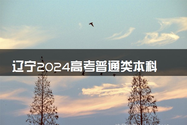 辽宁2024高考普通类本科提前批征集志愿剩余计划统计表