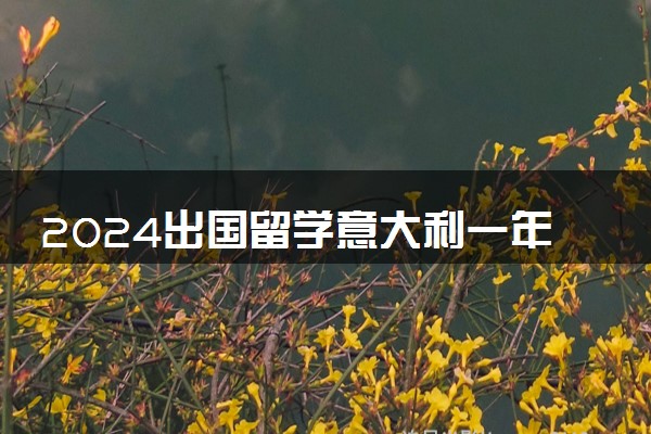 2024出国留学意大利一年大概多少钱  ‌一年10万够吗
