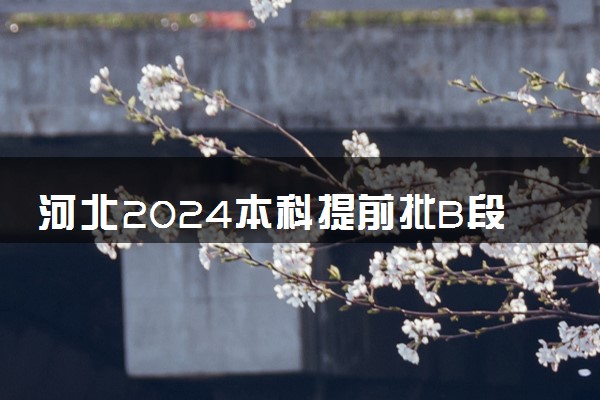 河北2024本科提前批B段-体育类平行志愿投档情况【物理+历史】