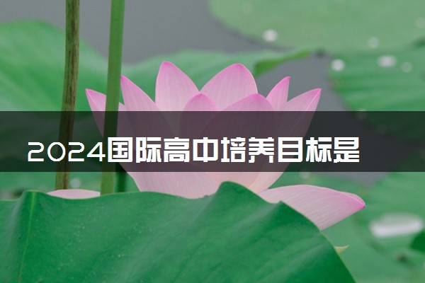 2024国际高中培养目标是什么 都学哪些内容