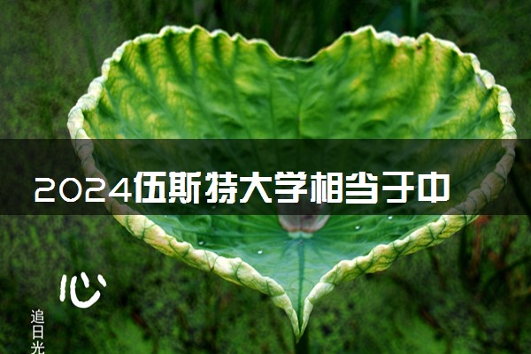 2024伍斯特大学相当于中国的哪所大学 国内承认吗