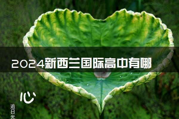 2024新西兰国际高中有哪些 入学条件是什么