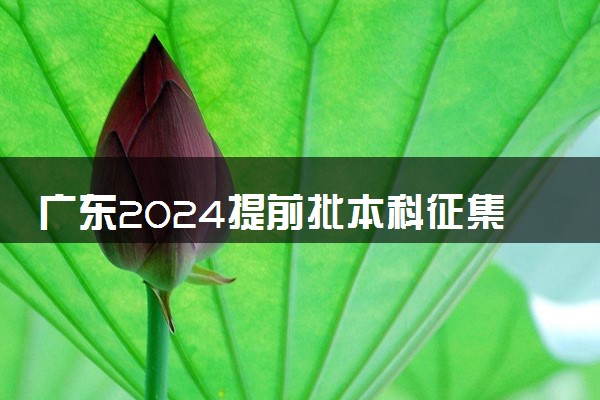 广东2024提前批本科征集志愿投档线公布