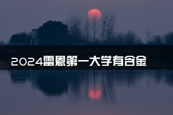 2024雷恩第一大学有含金量吗 国内认可度高吗