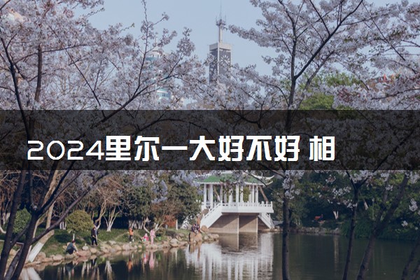 2024里尔一大好不好 相当于国内什么大学