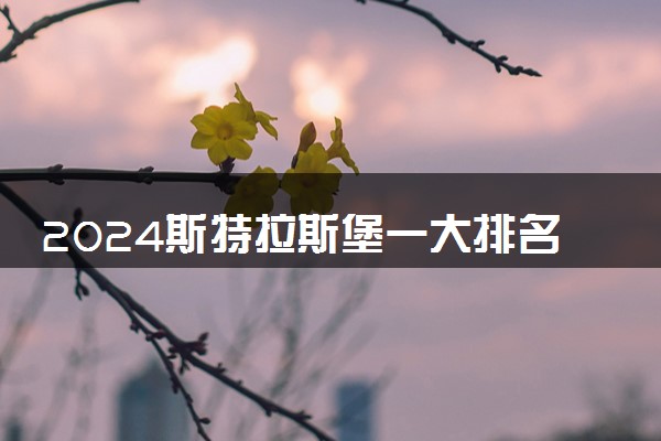 2024斯特拉斯堡一大排名多少 当于国内哪些大学