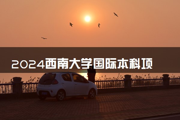 2024西南大学国际本科项目有哪些 拿什么文凭