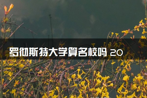 罗彻斯特大学算名校吗 2024相当于中国什么大学