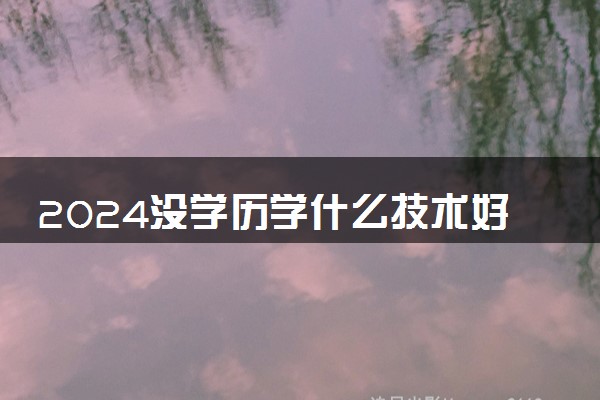 2024没学历学什么技术好  哪些技术学完最吃香