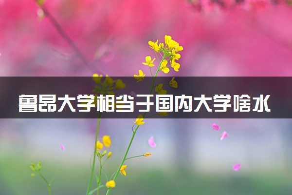 鲁昂大学相当于国内大学啥水平 2024认可度高吗