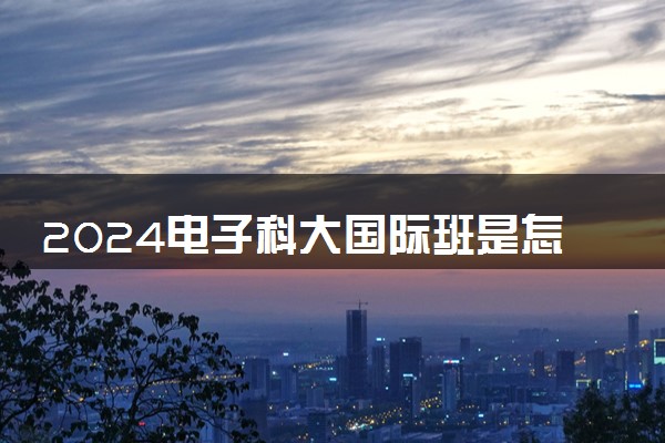 2024电子科大国际班是怎么回事 正规吗