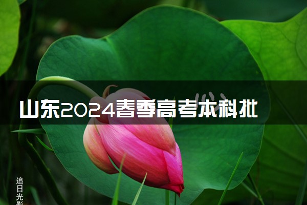 山东2024春季高考本科批第1次志愿投档计划及最低位次