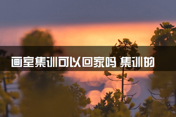 画室集训可以回家吗 集训的时间大概是多久