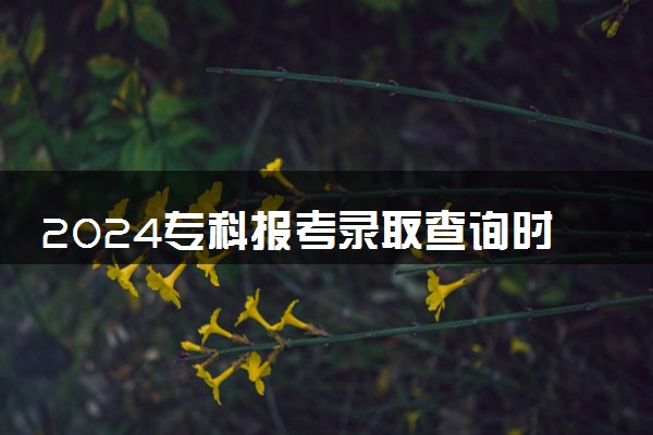 2024专科报考录取查询时间 几号能查结果