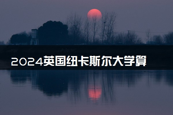 2024英国纽卡斯尔大学算名校吗 是什么档次