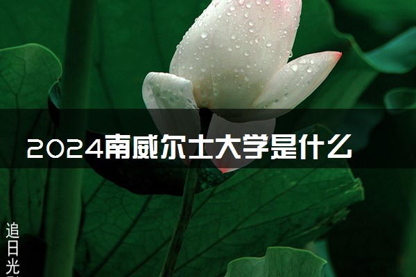 2024南威尔士大学是什么档次 相当于国内什么大学