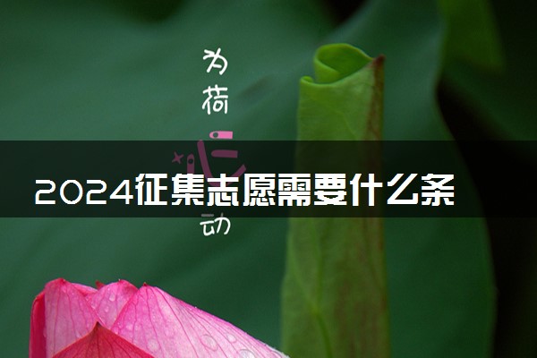 2024征集志愿需要什么条件 录取几率大吗