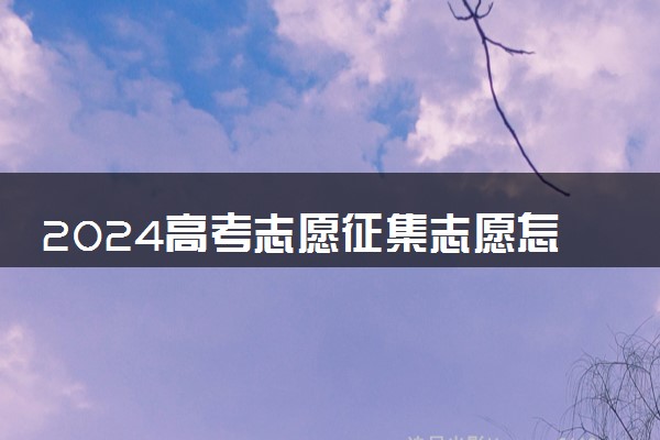 2024高考志愿征集志愿怎么填报 有哪些技巧