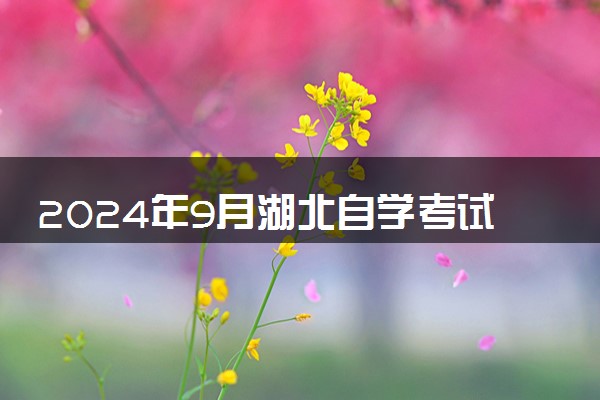 2024年9月湖北自学考试学历证书课程免考办理规则及流程