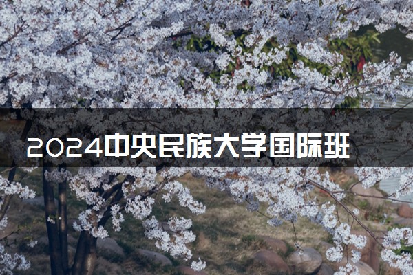 2024中央民族大学国际班怎么样 如何取得国内学位证