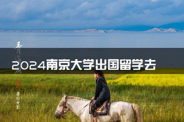 2024南京大学出国留学去向如何 好就业吗