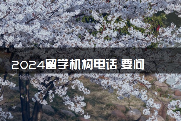 2024留学机构电话 要问哪些问题