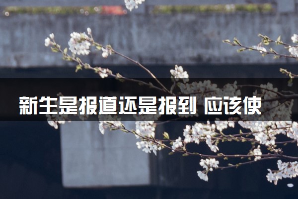新生是报道还是报到 应该使用哪个