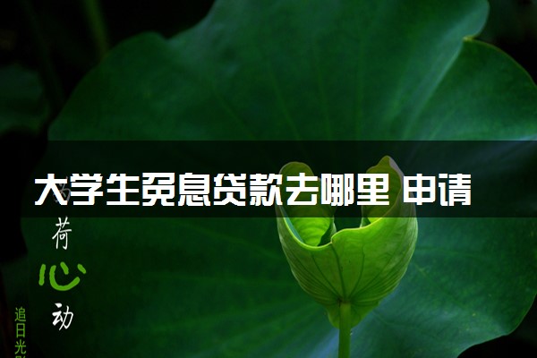 大学生免息贷款去哪里 申请流程是什么