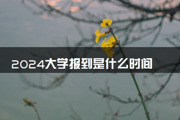 2024大学报到是什么时间 入学报到流程是什么