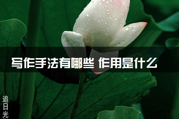 写作手法有哪些 作用是什么