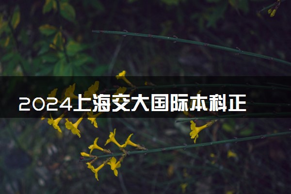 2024上海交大国际本科正规吗 含金量如何