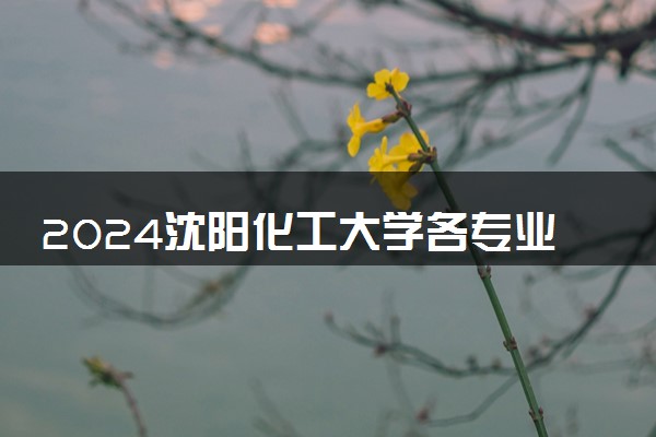 2024沈阳化工大学各专业考研分数线一览表 历年复试线汇总