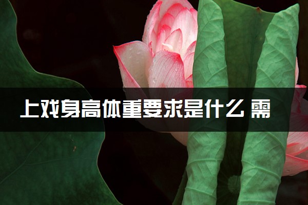 上戏身高体重要求是什么 需要符合哪些报考条件