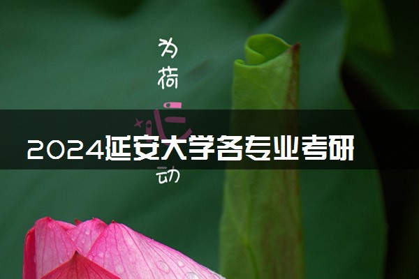 2024延安大学各专业考研分数线一览表 历年复试线汇总