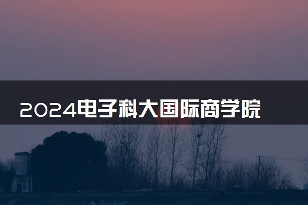 2024电子科大国际商学院是本科吗 值得上吗
