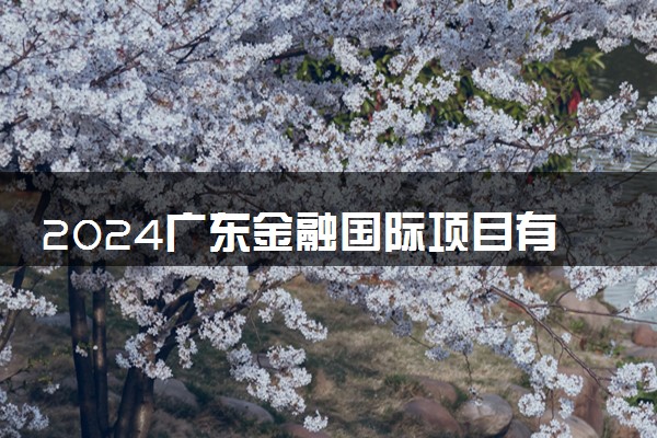 2024广东金融国际项目有哪些 哪个比较好