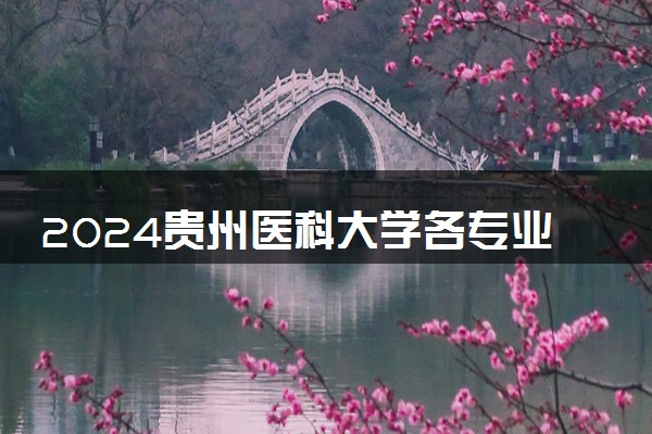 2024贵州医科大学各专业考研分数线一览表 历年复试线汇总