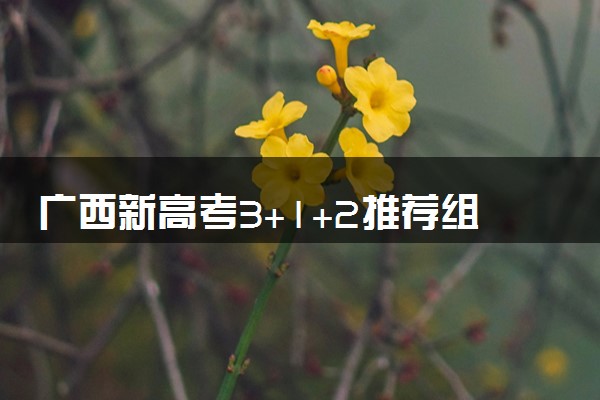 广西新高考3+1+2推荐组合 哪些组合最吃香