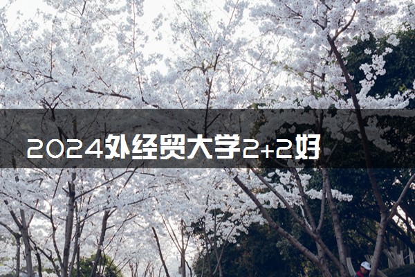 2024外经贸大学2+2好吗 有哪些优势