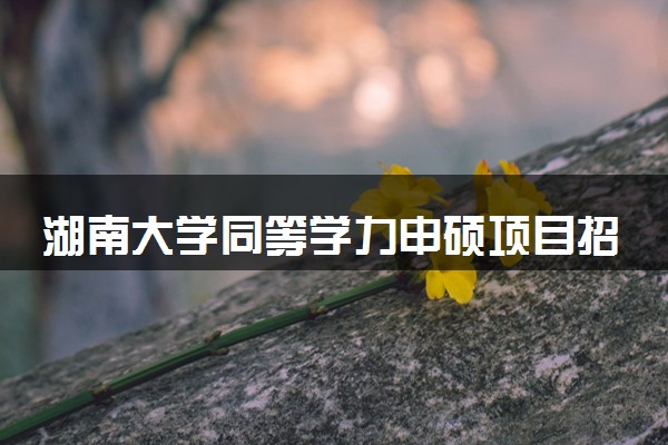 湖南大学同等学力申硕项目招生简章