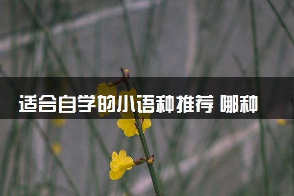 适合自学的小语种推荐 哪种小语种前景好