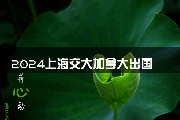 2024上海交大加拿大出国预科好吗 有什么办学优势