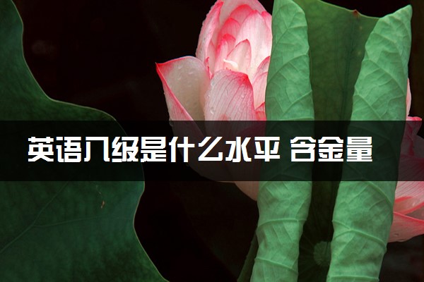 英语八级是什么水平 含金量高吗